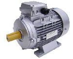 Electric motors