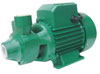 Pumps Peripherical